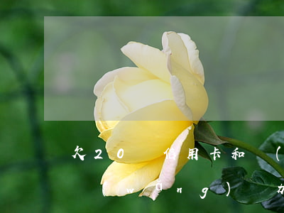 欠20萬信用卡和網(wǎng)貸怎么辦(網(wǎng)貸加信用卡欠款40萬)