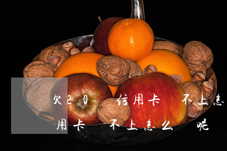 欠20萬信用卡還不上怎么辦-欠20萬信用卡還不上怎么辦呢