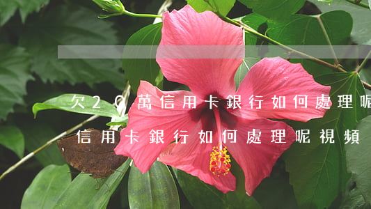 欠20萬信用卡 銀行如何處理呢-欠20萬信用卡 銀行如何處理呢視頻
