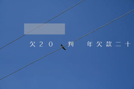 欠20萬判幾年(欠款二十萬要判刑幾年)