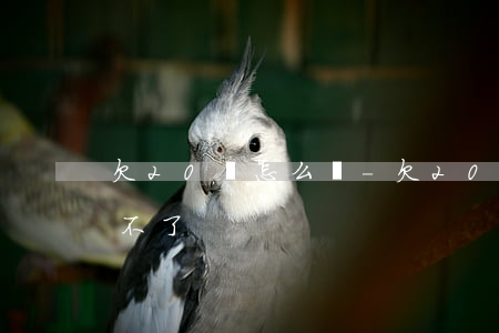 欠20萬怎么辦-欠20萬怎么辦,家里又幫不了
