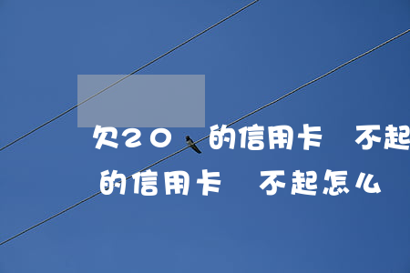 欠20萬的信用卡還不起怎么辦-欠20萬的信用卡還不起怎么辦呢