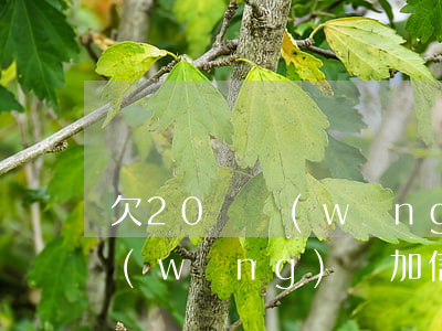 欠20萬網(wǎng)貸信用卡怎么辦(網(wǎng)貸加信用卡欠了20萬)