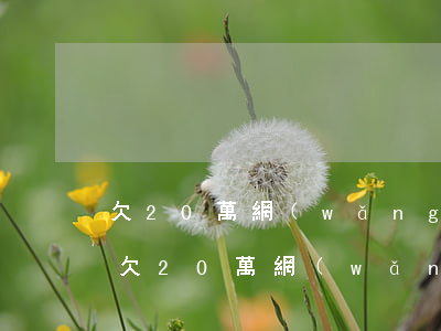 欠20萬網(wǎng)貸 怎么才能翻身-欠20萬網(wǎng)貸怎么才能翻身
