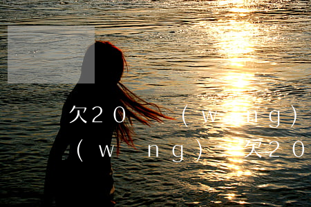 欠20萬網(wǎng)貸沒收入怎么辦(網(wǎng)貸欠20萬不還)
