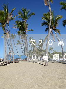 欠20萬網(wǎng)貸無力償還了(欠20萬網(wǎng)貸無力償還會怎么樣)