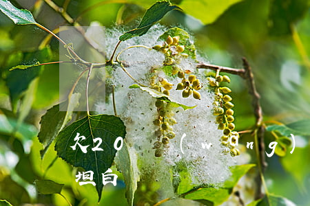 欠20萬網(wǎng)貸要不要和家里人坦白