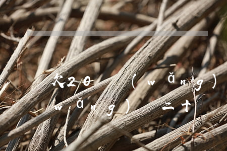 欠20萬網(wǎng)貸還剩6萬(欠網(wǎng)貸二十萬)