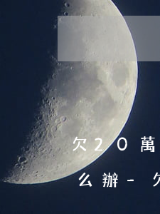 欠20萬還有網(wǎng)貸無力償還怎么辦-欠20萬還有網(wǎng)貸無力償還怎么辦呢