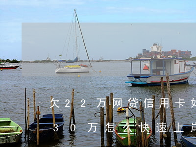 欠22万网贷信用卡如何上岸(欠信用卡网贷30万怎么快速上岸)