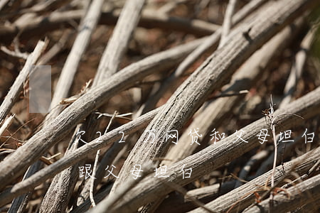 欠22万网贷和父母坦白(欠了9万网贷不敢跟父母坦白)
