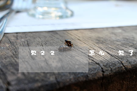 欠22萬網貸怎么辦(欠了28萬網貸怎么辦)