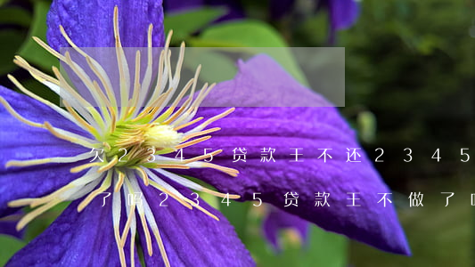 欠2345贷款王不还(2345贷款王倒闭了吗?2345贷款王不做了吗?)