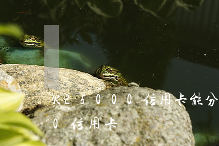 欠25000信用卡能分幾期還（欠25000信用卡）