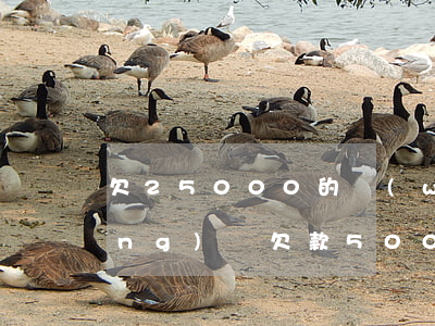 欠25000的網(wǎng)貸(網(wǎng)貸欠款5000)