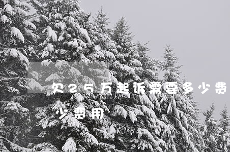 欠25万起诉需要多少费用(25万起诉费多少费用)
