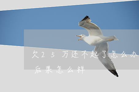 欠25万还不起了怎么办-欠款25万不还后果怎么样
