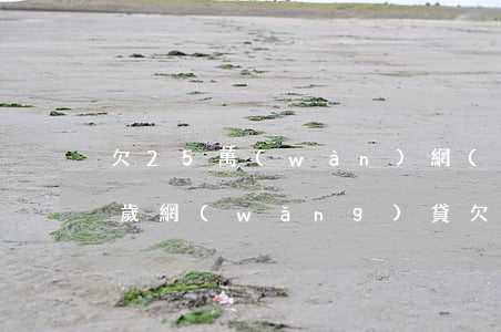 欠25萬(wàn)網(wǎng)貸(25歲網(wǎng)貸欠了十幾萬(wàn))