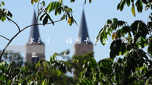 欠25萬信用卡怎么辦(欠了25萬信用卡怎么還劃算)