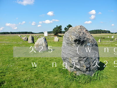 欠25萬網(wǎng)絡貸款還不起(網(wǎng)貸欠25萬還能從銀行貸出錢來嗎)
