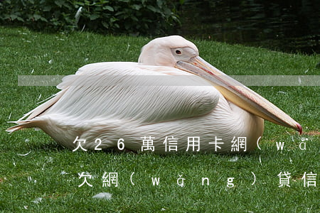 欠26萬信用卡網(wǎng)貸還不起了(欠網(wǎng)貸信用卡十幾萬還不上怎么辦)