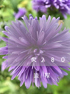 欠2800元报警受理么（欠钱2800起诉流程）