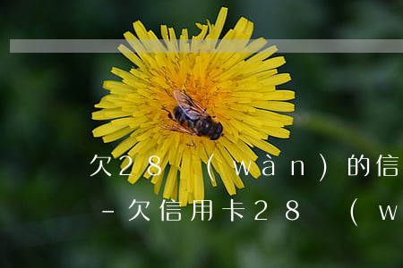 欠28萬(wàn)的信用卡還不上怎么辦-欠信用卡28萬(wàn) 無(wú)力償還了,怎么處理?