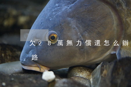 欠28萬無力償還怎么辦 欠了28萬還有活路?