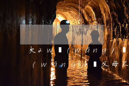 欠2w網(wǎng)貸父母有錢不幫還(網(wǎng)貸父母不幫還怎么辦)