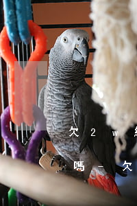 欠2w網(wǎng)貸還可以申請信用卡嗎-欠2w網(wǎng)貸還可以申請信用卡嗎知乎