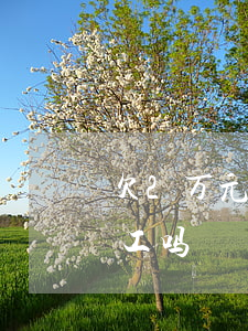 欠2万元网贷外出打工(欠网贷太多跑路能打工吗)
