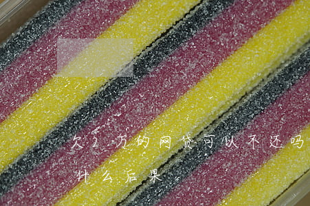欠2万的网贷可以不还吗(网贷2万不还会有什么后果)