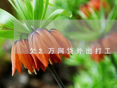 欠2万网贷外出打工