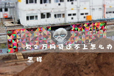 欠2万网贷还不上怎么办(网贷欠2万不还会怎样)