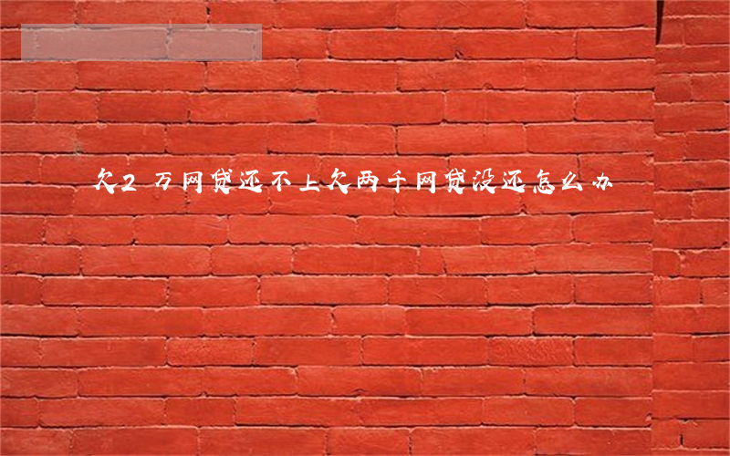 欠2万网贷还不上(欠两千网贷没还怎么办)