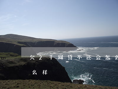 欠2千网贷不还会怎么样(两万网贷不还会怎么样)
