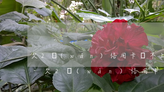 欠2萬(wàn)信用卡還不上有什么后果-欠2萬(wàn)信用卡還不上有什么后果嗎