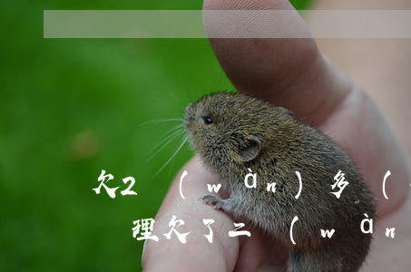 欠2萬(wàn)多網(wǎng)貸怎么處理(欠了二萬(wàn)多網(wǎng)貸不知道該怎么辦了)