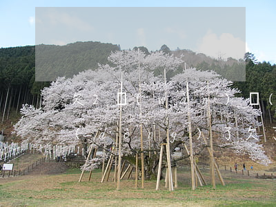 欠2萬(wàn)網(wǎng)貸還不動(dòng)了(欠了2萬(wàn)網(wǎng)貸怎么辦)