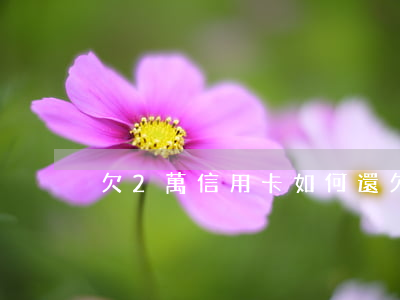 欠2萬信用卡如何還(欠兩萬信用卡怎么還)