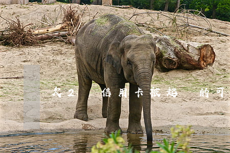 欠2萬信用卡被起訴的可能多大-