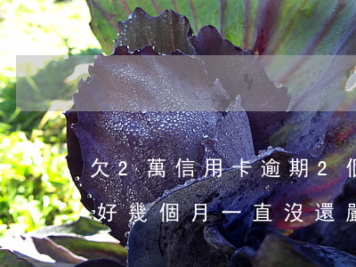欠2萬信用卡逾期2個月(兩萬的信用卡逾期好幾個月一直沒還嚴重嗎)