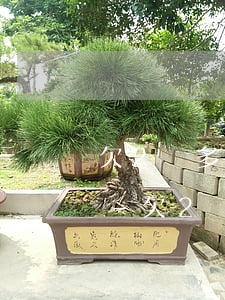 欠2萬多信用卡8年了會(huì)怎么樣-欠2萬多信用卡8年了會(huì)怎么樣呢