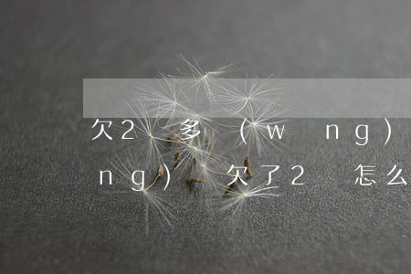 欠2萬多網(wǎng)貸怎么還(網(wǎng)貸欠了2萬怎么辦)