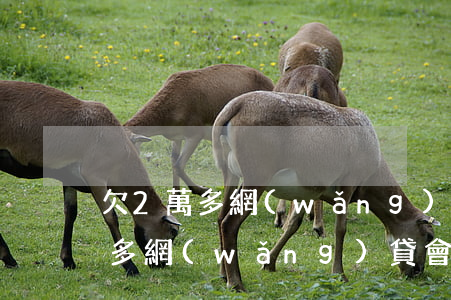 欠2萬多網(wǎng)貸會上門嗎(欠一萬多網(wǎng)貸會上門嗎)