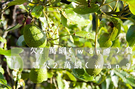 欠2萬網(wǎng)貸可以做生意慢慢還嗎(欠2萬網(wǎng)貸可以做生意慢慢還嗎)