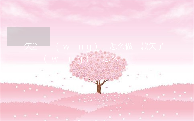 欠2萬網(wǎng)貸怎么做貸款(欠了兩萬網(wǎng)貸怎么辦)