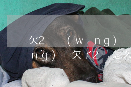 欠2萬網(wǎng)貸怎么翻身(網(wǎng)貸欠了2萬怎么辦)