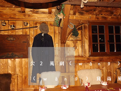 欠2萬網(wǎng)貸怎么辦律師費(欠網(wǎng)貸兩萬塊錢怎么辦)