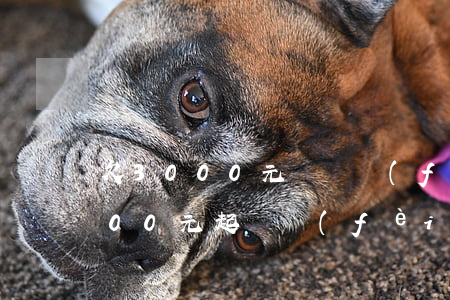 欠3000元訴訟費(fèi)多少(欠1300元起訴費(fèi)多少)